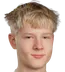 Leevi Jarvinen