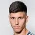 Milan Vukotic