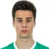 Ilia Gruev