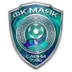 Mayak Sarny