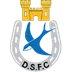 Dungannon Swifts