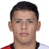 Gustavo Hamer