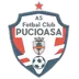 Pucioasa