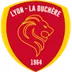 Lyon Duchere