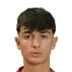 Davide Pavesi