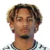 Matheus Nunes Fagundes de Araujo