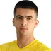 Nediljko Labrovic