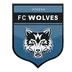 Jõgeva Wolves