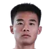 Gao Qili