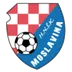 Moslavina