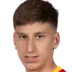 Petar Vujović