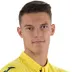 Adrian Marin