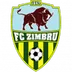 Zimbru