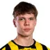 Pyyhtia Niklas