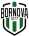 Bornova 1877 SK