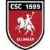 Viitorul Şelimbăr