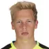 Dominik Svacek