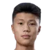 Han Fenglin