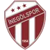 İnegölspor