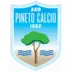 Pineto