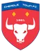 Cheadle Town