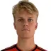 Gregers Arndal-Lauritzen