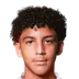Matthew Arana