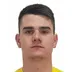 Mirko Topić