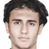 Yigit Fidan