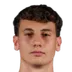 Fabian Jankovic