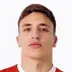 Vuk Bogdanovic