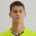 Dimitrije Stevanovic
