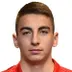 Marko Matanovic