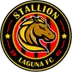 Stallion