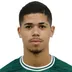 Diego Caito Barcellos Oliveira dos Santos