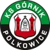 Górnik Polkowice