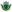 Matsumoto Yamaga