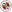 Reading