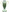 USL-1 Cup