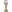 Puchar ZEA