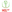 Puchar Czech