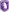 Beerschot VA