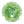Panthère
