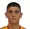 Milan Grbavcevic