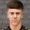 Lewys Twamley