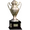 Mistrzostwo CONCACAF