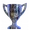 Puchar Turcji