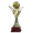 Mistrzostwo Clausury Liga FPD