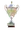 Puchar Środkowego Renu
