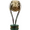 Mistrzostwo Paragwaju